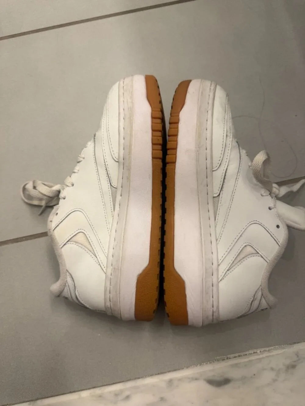 Reebok reebox classics